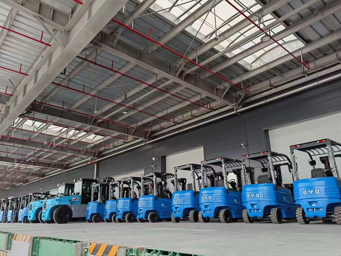 Forklift Rental 6